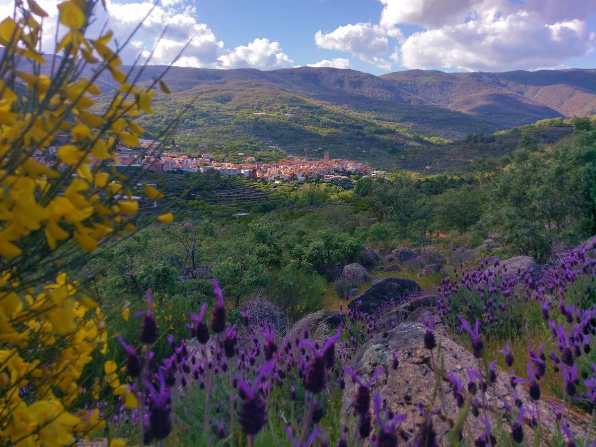 Hostal Yuste Garganta la Olla Kültér fotó